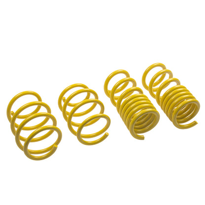 ST Lowering Springs Ford Mustang V8 - Graveyard Performance