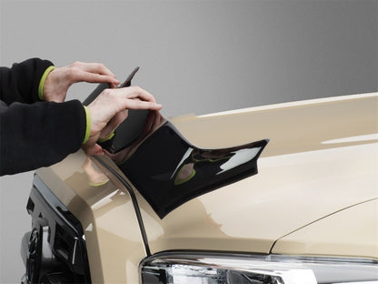 WeatherTech 06-10 Honda Civic Sedan Hood Protector - Black - Graveyard Performance