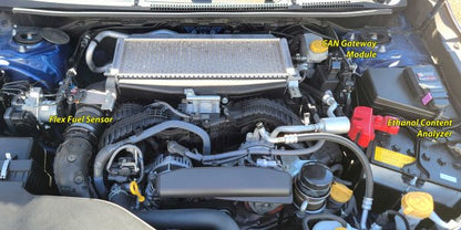 Delicious Tuning Subaru VB 2022+ WRX - CAN Enabled Flex Fuel Kit V3