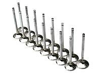 Brian Crower Honda D16Y8/D16Z6 31mm Intake Valves - Graveyard Performance