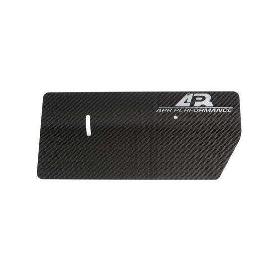 APR Performance GT-250 Carbon Fiber Side Plates