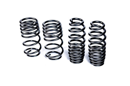 MMX Performance G8X M3 / M4 Lowering Spring Set