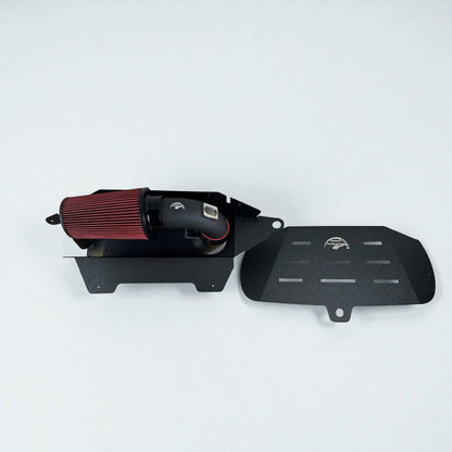 N20 N26 Cold Air Intake For F Chassis BMW 220i, 228i, 320i, 328i, 420i, 428i | Palenon Performance - Graveyard Performance