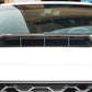 Subaru WRX Carbon Fiber Hood Vent 2022-2023