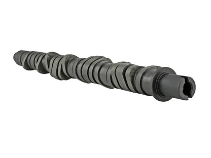 Skunk2 Tuner Series D-Series Honda Stage 4 Camshaft - Graveyard Performance