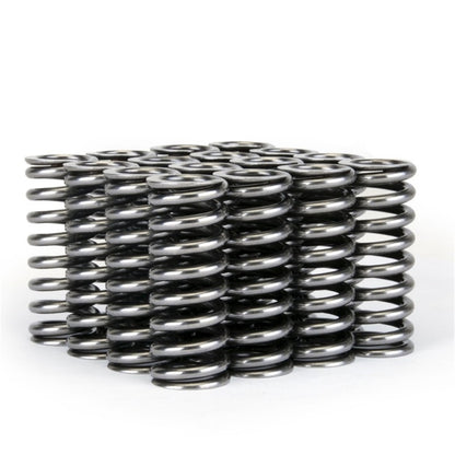 Skunk2 Alpha Series Honda D Series VTEC Valve Spring Set - Graveyard Performance