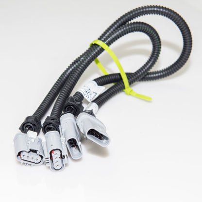 Kooks 2014-2019 Chevrolet Corvette C7 O2 Sensor Extension Harness - Graveyard Performance