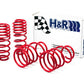 H&R 05-09 Ford Mustang/Convertible/GT/Shelby GT/Shelby GT-H V6/V8 Race Spring
