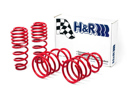 H&R 05-09 Ford Mustang/Convertible/GT/Shelby GT/Shelby GT-H V6/V8 Race Spring - Graveyard Performance