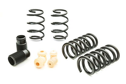Eibach Pro-Kit for 2015 Ford Mustang GT 5.0L V8 - Graveyard Performance