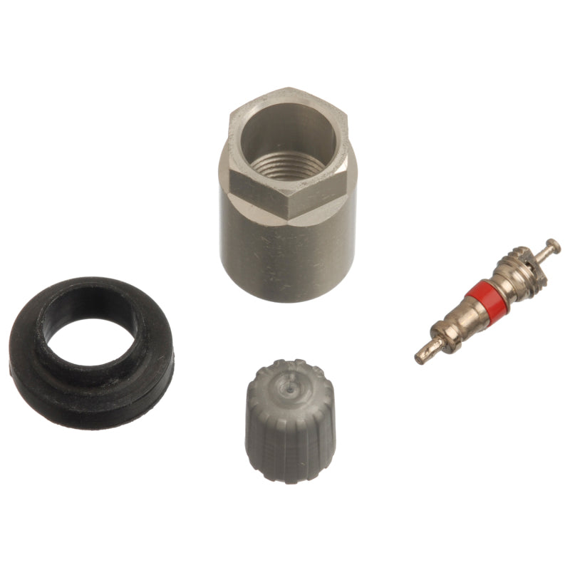 Schrader TPMS Service Pack - Infiniti/Nissan - 25 Pack - Graveyard Performance