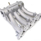 Skunk2 Pro Series 88-00 Honda D15/D16 SOHC Intake Manifold (Race Only)
