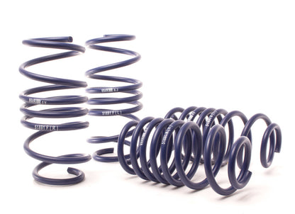 H&R 13-17 Acura ILX 2.0L/2.4L/Hybrid Sport Spring (Non Convertible) - Graveyard Performance
