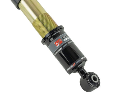 Skunk2 06-11 Honda Civic Si Pro ST Coilovers - Graveyard Performance