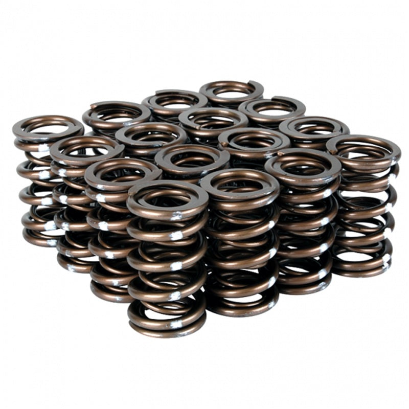 Skunk2 Pro Series Honda/Acura B-Series VTEC XP Valve Spring Set (Dual Springs) - Graveyard Performance