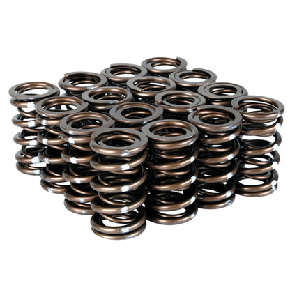 Skunk2 Pro Series Honda/Acura B-Series VTEC XP Valve Spring Set (Dual Springs) - Graveyard Performance