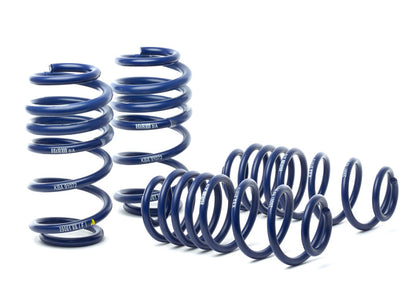 H&R 09-16 Audi A4 Quattro/S4 (AWD) B8 Sport Spring - Graveyard Performance
