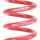 Skunk2 Universal Race Spring (Straight) - 6 in.L - 2.5 in.ID - 10kg/mm (0600.250.010S)