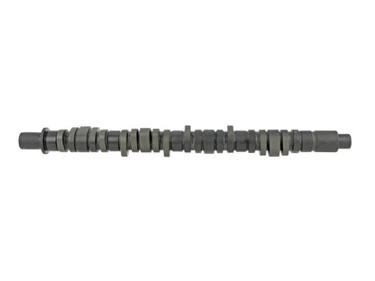 Skunk2 Tuner Series D-Series Honda Stage 2 Camshaft - Graveyard Performance