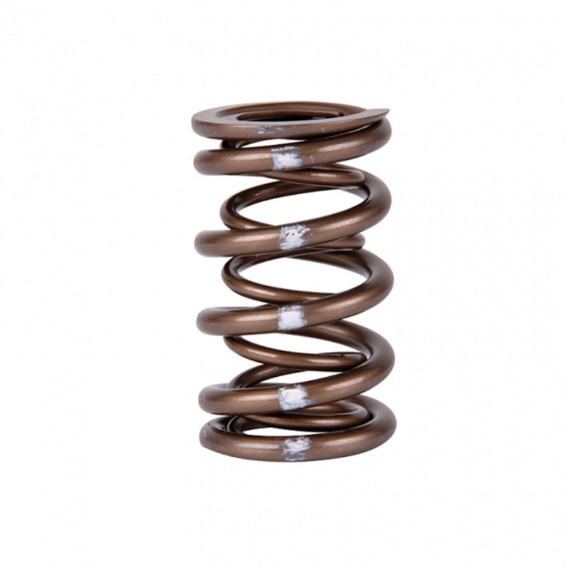 Skunk2 Pro Series Honda/Acura B-Series VTEC XP Valve Spring Set (Dual Springs) - Graveyard Performance