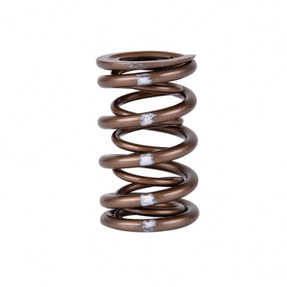 Skunk2 Pro Series Honda/Acura B-Series VTEC XP Valve Spring Set (Dual Springs) - Graveyard Performance