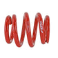 Skunk2 Universal Race Spring (Elliptical) - 6 in.L - 2.5 in.ID - 14kg/mm (0600.250.014E)