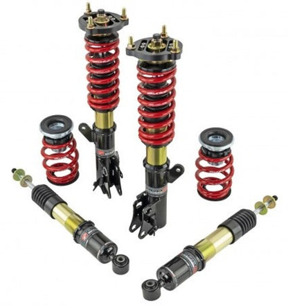 Skunk2 12-13 Honda Civic Si Pro ST Coilovers - Graveyard Performance