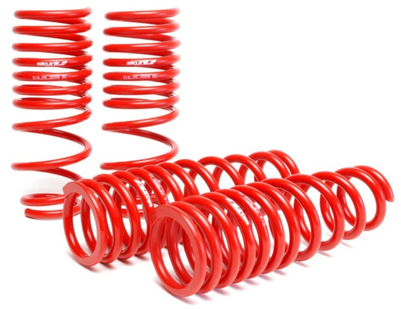 Skunk2 96-00 Honda Civic Lowering Springs (2.50in - 2.25in.) (Set of 4) - Graveyard Performance