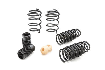 Eibach Pro-Kit for 09+ Hyundai Genesis Coupe - Graveyard Performance