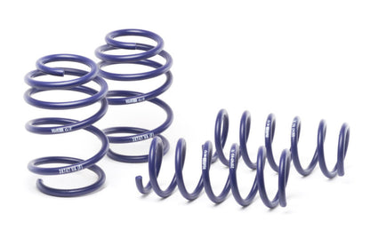 H&R 16-19 Ford Focus RS Sport Spring - Graveyard Performance