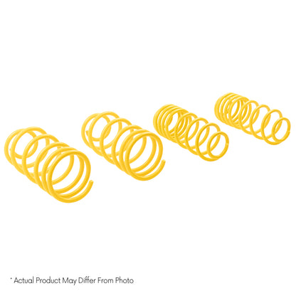 ST Sport-tech Lowering Springs 14 Ford Fiesta ST - Graveyard Performance
