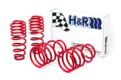 H&R 05-09 Ford Mustang/Convertible/GT/Shelby GT/Shelby GT-H V6/V8 Race Spring - Graveyard Performance