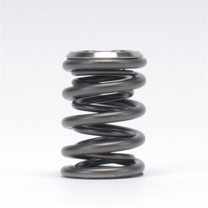 Skunk2 Alpha Series Honda/Acura B Series Valve Spring and Titanium Retainer Kit - Graveyard Performance