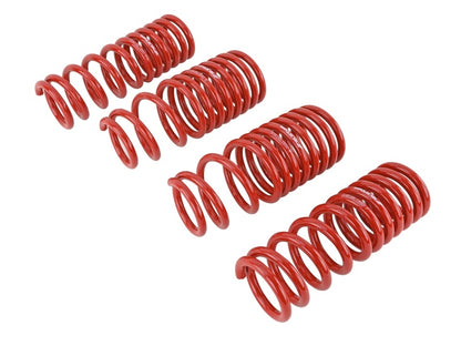 Skunk2 88-91 Honda Civic/CRX Lowering Springs (2.50in - 2.25in.) (Set of 4) - Graveyard Performance