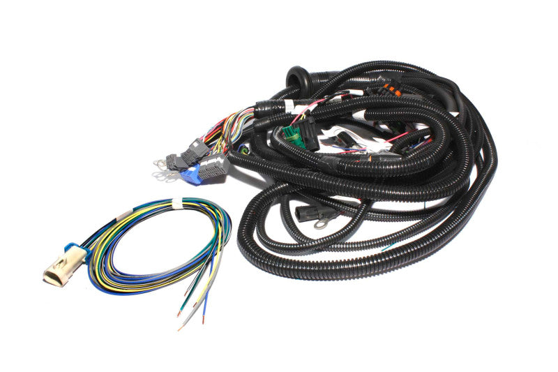 FAST Wiring Harness FAST Main LT1 - Graveyard Performance