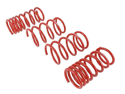 Skunk2 2013 FR-S/BRZ/FT86 Lowering Springs (Set of 4) - Graveyard Performance