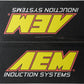 AEM 92-95 Civic DX/LX/EX/SI/ 96-00 Civic EX/ 93-95 Del Sol S/ 93-97 Del Sol Si Red Short Ram Intake