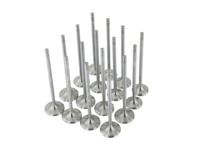 Skunk2 Alpha Series Honda/Acura Stock Size D Series Valve Set (Standard Compression) - Graveyard Performance