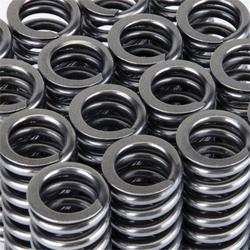 Skunk2 Alpha Series Honda D Series VTEC Valve Spring Set - Graveyard Performance