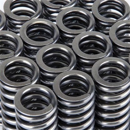 Skunk2 Alpha Series Honda D Series VTEC Valve Spring Set - Graveyard Performance