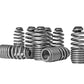 Skunk2 Honda/Acura VTEC B Series Spring Type Lost Motion Assembly Kit