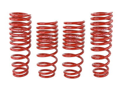 Skunk2 96-00 Honda Civic Lowering Springs (2.50in - 2.25in.) (Set of 4) - Graveyard Performance