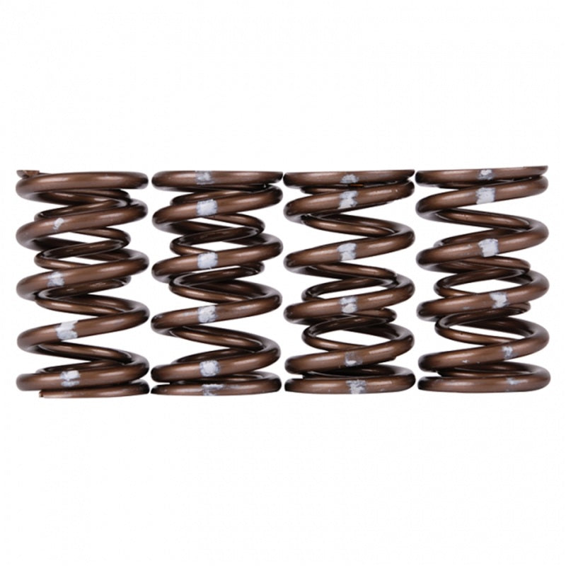 Skunk2 Pro Series Honda/Acura B-Series VTEC XP Valve Spring Set (Dual Springs) - Graveyard Performance