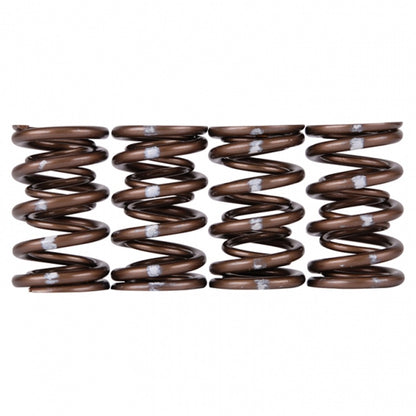 Skunk2 Pro Series Honda/Acura B-Series VTEC XP Valve Spring Set (Dual Springs) - Graveyard Performance