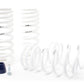 H&R 94-95 Ford Mustang/Mustang Cobra V8 Super Race Spring