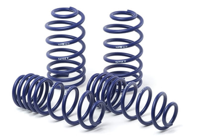 H&R 07-10 Ford GT500/GT500 Convertible V8 Race Spring - Graveyard Performance