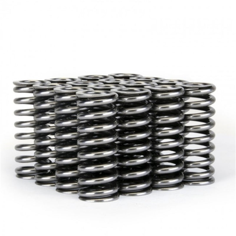 Skunk2 Alpha Series Honda D Series VTEC Valve Spring Set - Graveyard Performance