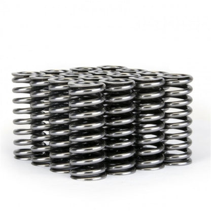 Skunk2 Alpha Series Honda D Series VTEC Valve Spring Set - Graveyard Performance
