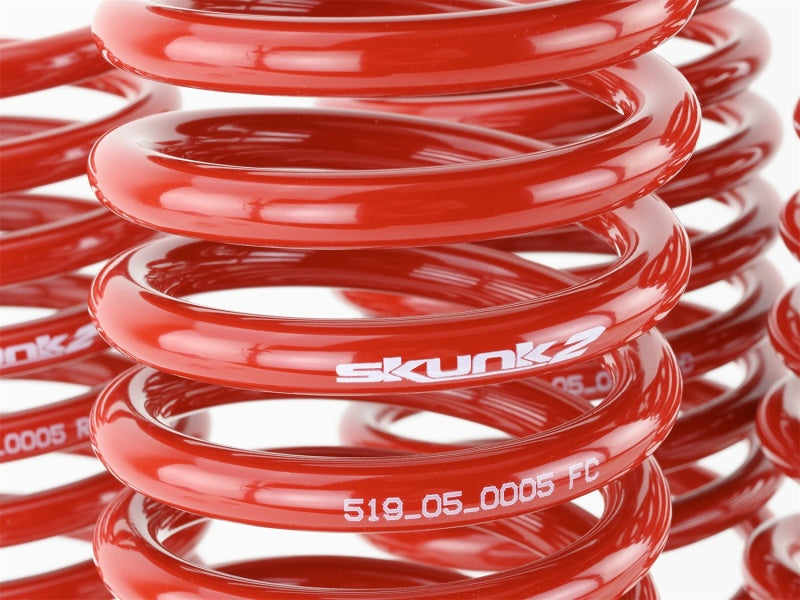 Skunk2 96-00 Honda Civic Lowering Springs (2.50in - 2.25in.) (Set of 4) - Graveyard Performance