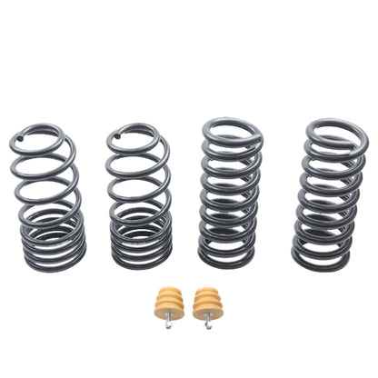 ST Sport-tech Lowering Springs Ford Mustang 3rd gen. / 4th gen. - Graveyard Performance